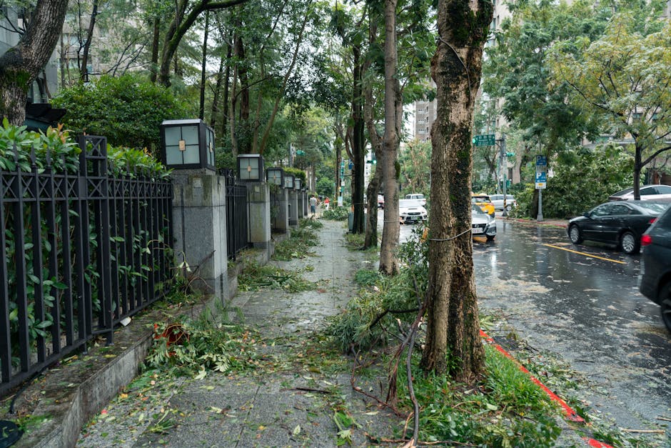 9月までに揃えたい停電対策グッズ｜台風シーズンの備え