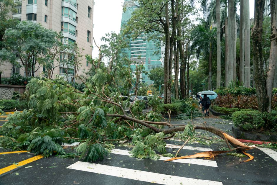 シルバーウィークは台風シーズンど真ん中｜行楽前に見直す停電・避難の備え